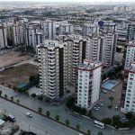 Dünyanın en pahalı baharatı safranın 1 gramı 500 TL 1 thumbnail