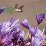 Aral: "Ülkemizin tam bağımsızlık hedefi doğrultusunda çalışıyoruz" 2 thumbnail