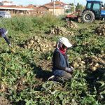 Kepez’in Zeytinlik Mahallesi’ne yeni pazar yeri geliyor 2 thumbnail