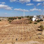 Bu deniz hattı, Uzak Doğu’yu Doğu Marmara’ya doğrudan bağlıyor 1 thumbnail