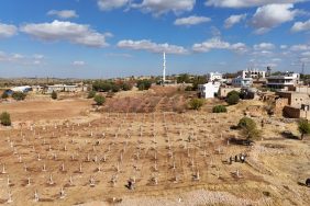 Dezavantajlı tarım arazileri modern bağcılık projesiyle hayat buluyor 12 DEZAVANTAJLI TARIM ARAZİLERİ MODERN BAĞCILIK PROJESİYLE HAYAT BULUYOR