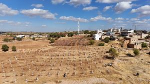 DEZAVANTAJLI TARIM ARAZİLERİ MODERN BAĞCILIK PROJESİYLE HAYAT BULUYOR
