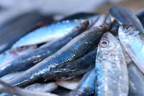 c5ac617f-f47b-42e6-ae0e-368b29ac27b4