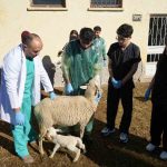 Serbest piyasada döviz fiyatları 1 thumbnail