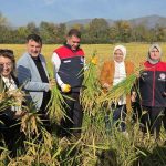 Türkiye Sigorta’dan Sağlık ve Kaskoda Peşin Fiyatına 12 Aya Varan Taksit İmkanı 1 thumbnail