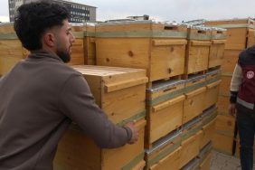 DOĞUNUN EN ÇOK BAL ÜRETİLEN İKİNCİ İLİ OLAN BİNGÖL'DE ARICILARA 435 ORGANİK KOVAN DAĞITILDI