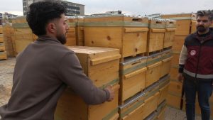 DOĞUNUN EN ÇOK BAL ÜRETİLEN İKİNCİ İLİ OLAN BİNGÖL'DE ARICILARA 435 ORGANİK KOVAN DAĞITILDI