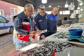 EMET'TE SU ÜRÜNLERİNE YÖNELİK DENETİM