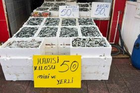 RİZE'DE HAMSİNİN FİYATI SEVENLERİNİN YÜZÜNÜ GÜLDÜRÜYOR