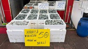 RİZE'DE HAMSİNİN FİYATI SEVENLERİNİN YÜZÜNÜ GÜLDÜRÜYOR