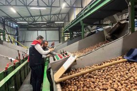 TEKİRDAĞ'DA CEVİZ EKİM ALANLARI GENİŞLİYOR