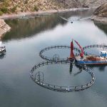 Büryan şehrinde balık tercihi 1 thumbnail