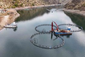 DİYARBAKIR'DA 500 TON KAPASİTELİ TESİSTEN DÜNYAYA "MEZOPOTAMYA SOMONU" GÖNDERİLECEK