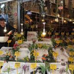 Alaplı’da üretilen pelet sobalar dünya pazarında 2 thumbnail