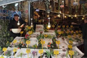 BÜRYAN ŞEHRİNDE BALIK TERCİHİ