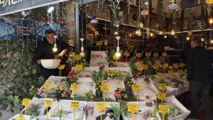 BÜRYAN ŞEHRİNDE BALIK TERCİHİ