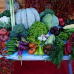 İmamoğlu’nda yangından etkilenen üreticilere buğday tohumu desteği 2 thumbnail