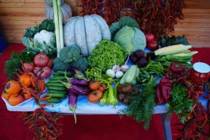 EDİRNELİ ÜRETİCİLER ATA TOHUMUNDAN ÜRETTİKLERİ ÜRÜNLERİ MİLLET BAHÇESİ'NDE SATIŞA SUNUYOR