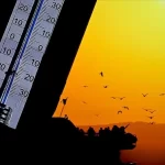 Türk Sunucu Almanya’yı 270 Bin Euro Dolandırdı! Mahkemede Suçunu Kabul Etti 1 thumbnail