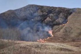 OLTU’DA ÖRTÜ YANGINI KORKUTTU SÜLEYMANLI MAHALLESİ’NDEKİ ALEVLER KONTROL ALTINA ALINDI