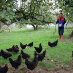 Fiyatı tarlada 10 liraya inen brokoli pazarda 70 liraya satılıyor 2 thumbnail