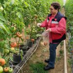 Vali Erol'dan Ordu'da Patpat Kazaları ve Turizm İçin Uyarılar 1 thumbnail