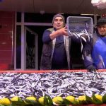 Uluslararası sivil toplum kuruluşları GTO’da buluştu 2 thumbnail