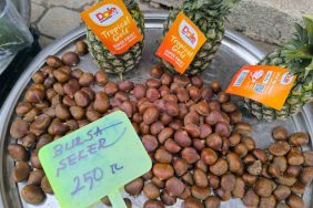 KESTANE FİYATIYLA YÜZLERİ GÜLDÜRDÜ