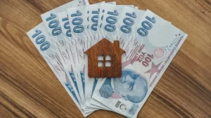 6931e85929bf1171-w1200xh801