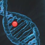 YURT DIŞI ÇIKIŞ HARCI YÜKSELDİ: 710 TL’DEN 1 000 TL’YE ÇIKARILDI 1 thumbnail