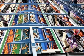 ihrac-gidalarimiz-da-abye-giremiyor-4unden-3u-riskli-ct34